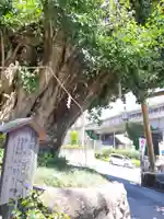 五所神社のその他建物