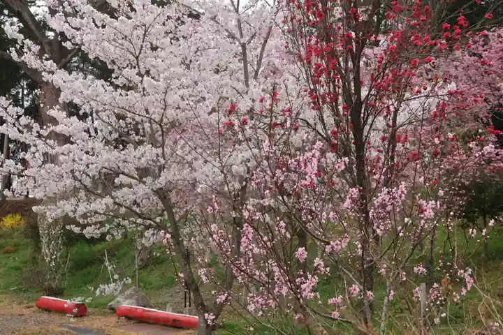 阿久津「田村神社」(郡山市阿久津町)旧社名:伊豆箱根三嶋三社の庭園