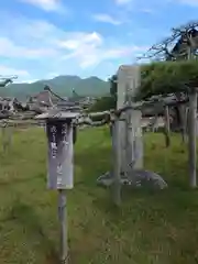 唐崎神社(滋賀県)