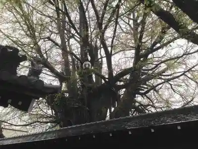 善福寺のその他建物