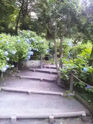 明月院(神奈川県)