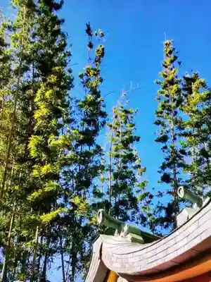 鷺宮八幡神社(東京都)