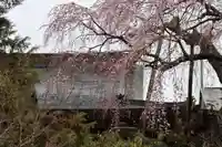 建福寺の自然