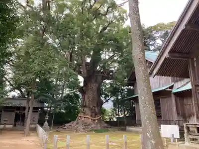 川津来宮神社(静岡県)