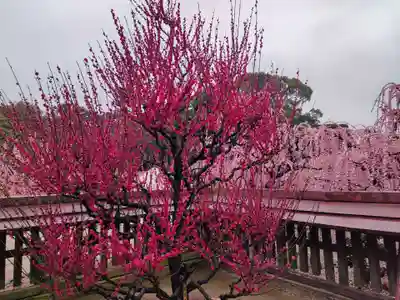 結城神社の庭園