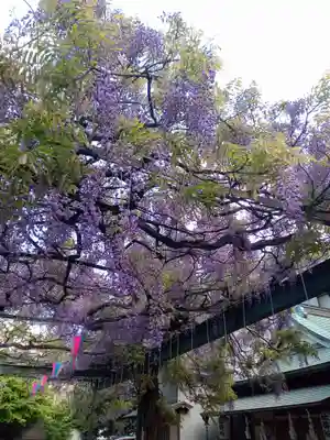 國領神社(東京都)