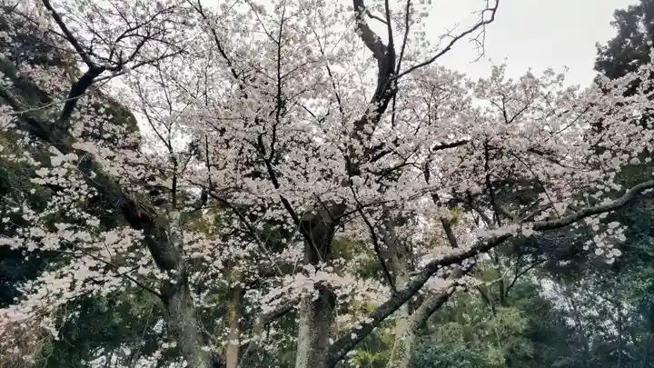 竹内神社(千葉県)