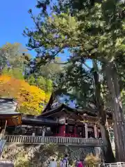 三峯神社(埼玉県)