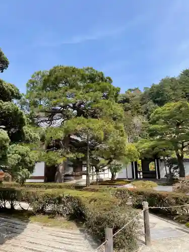 慈照寺（慈照禅寺・銀閣寺）(京都府)
