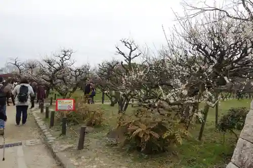 豊國神社の庭園