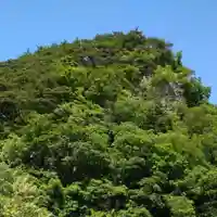 龍興山神社の自然