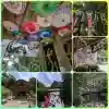 大水上神社(香川県)