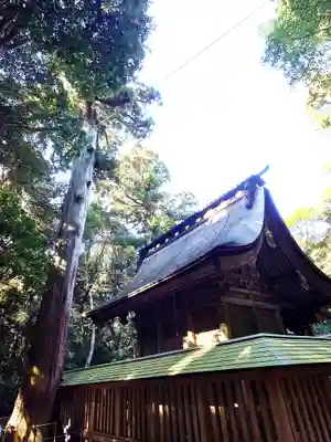 鹿島神宮(茨城県)