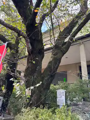 泉岳寺(東京都)