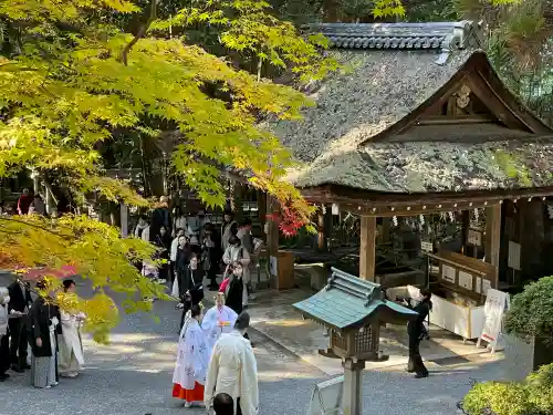 大神神社の{uncategorized: "未分類", other: "その他", undefined: "問題あり", building: "その他建物", grave: "お墓", sacred_gate: "鳥居", guardian: "狛犬", statue: "像", buddha: "仏像", history: "歴史", nature: "自然", garden: "庭園", animal: "動物", pagoda: "塔", temizu: "手水舎", mountain_gate: "山門・神門", sanctuary: "本殿・本堂", subordinate: "末社・摂社", art: "芸術", scenery: "景色", jizo: "地蔵", ema: "絵馬", goshuin: "御朱印", omikuji: "おみくじ", items: "授与品その他", amulet: "お守り", goshuincho: "御朱印帳", eats: "食事", festival: "お祭り", votive_dance: "神楽", shichigosan: "七五三参", wedding: "結婚式", experience: "体験その他", initially: "初詣", around: "周辺", anti_infection: "感染症対策"}