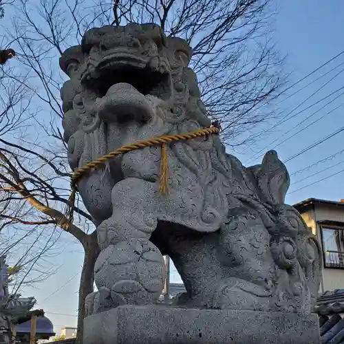 飛鳥神社（富田一色）の狛犬