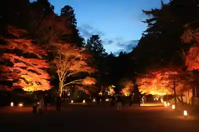 神護寺のその他建物
