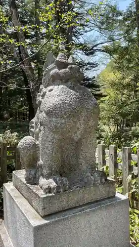 穂高神社奥宮の狛犬