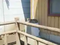 高根町熊野神社の動物