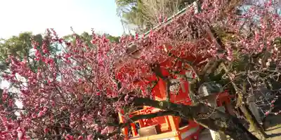 北野天満宮(京都府)