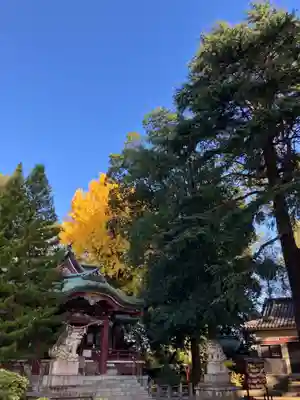 葛西神社(東京都)