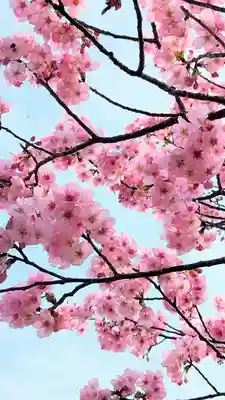 新萱田水神宮の自然