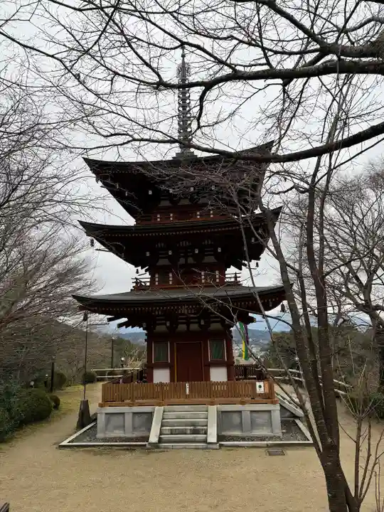 岡寺(龍蓋寺)(奈良県)