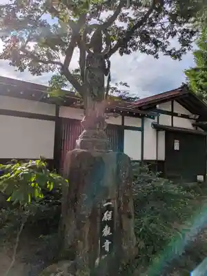 飛騨国分寺(岐阜県)