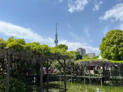亀戸天神社(東京都)