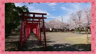 於菊稲荷神社(群馬県)