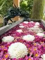 下野 星宮神社の手水舎