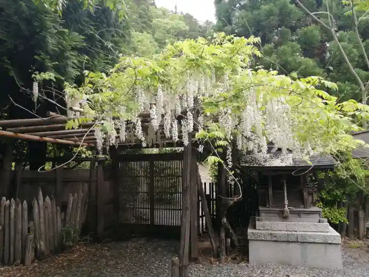 常照皇寺の自然