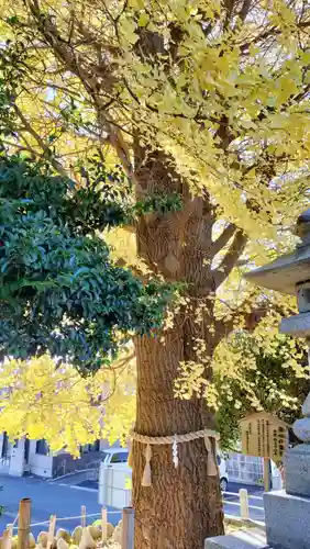 鹿嶋神社(茨城県)