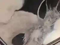 西来院(京都府)