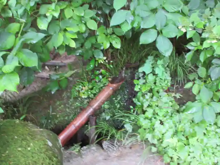 詩仙堂(丈山寺)の庭園