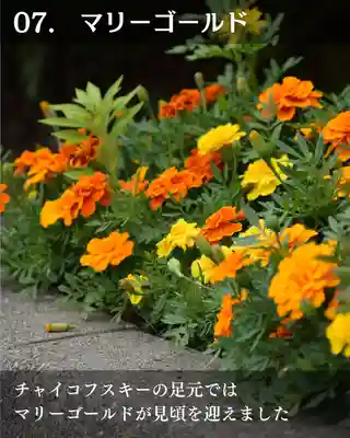 宝光寺(北海道)