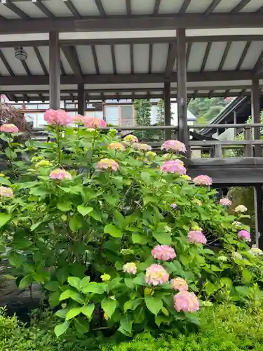 楽法寺（雨引観音）(茨城県)