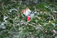 福仙寺(山口県)