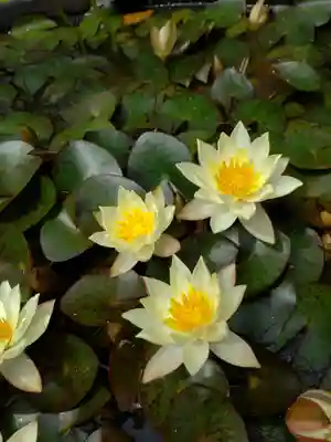 長善寺(東京都)