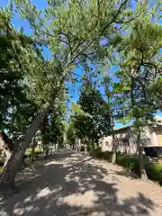 志那神社(滋賀県)