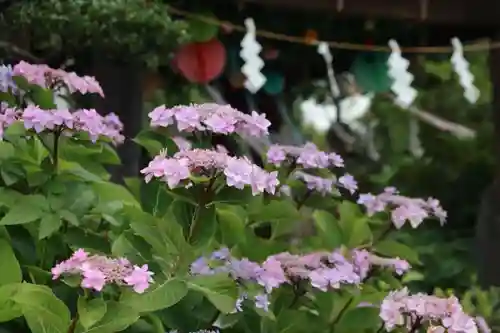 豊景神社の庭園