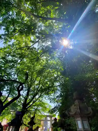 神炊館神社 ⁂奥州須賀川総鎮守⁂(福島県)