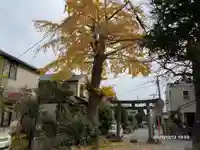 白岩神社の鳥居