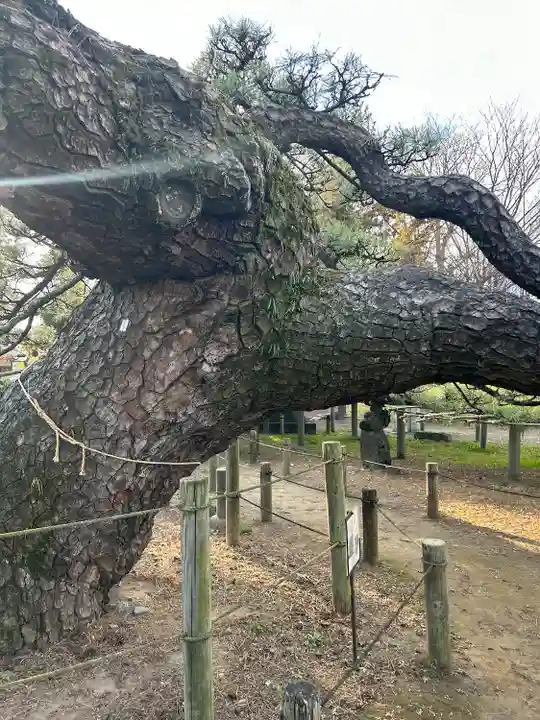 菅原神社の自然