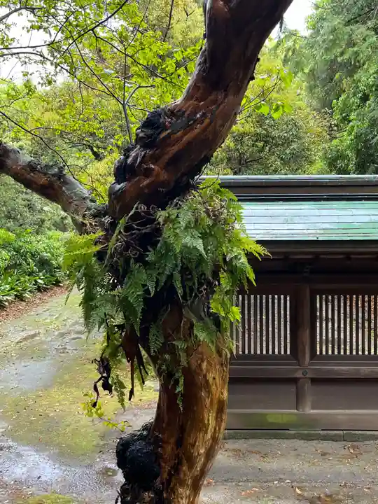 皇大明神社(中牧)(愛知県)