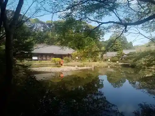 浄瑠璃寺の庭園