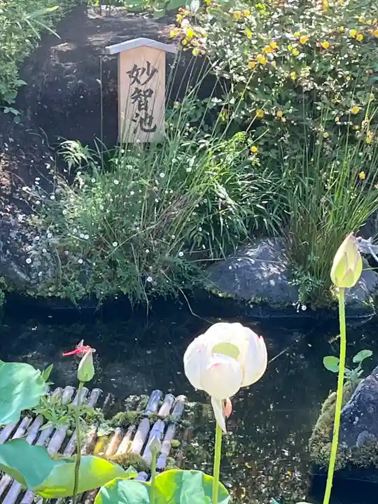 長谷寺(神奈川県)