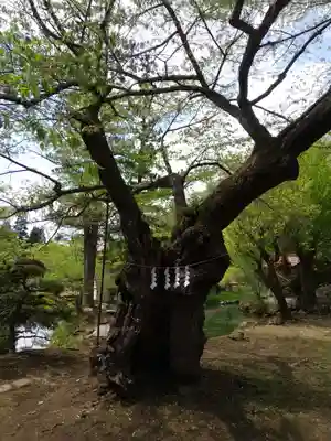 松尾院(山形県)