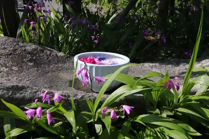 開成山大神宮の手水舎