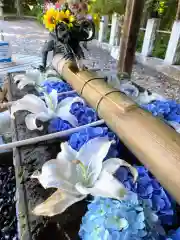 佐野赤城神社(栃木県)